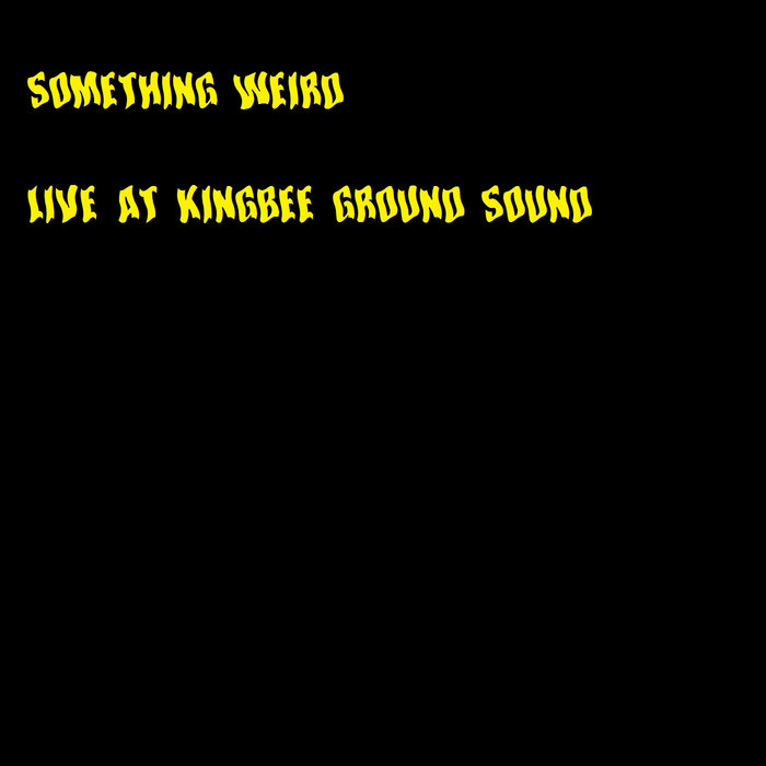 SOMETHING WEIRD - Live at Kingbee Ground Sound cover 