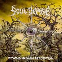 SOUL DEMISE - Beyond Human Perception cover 