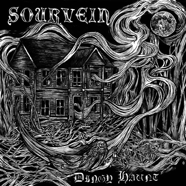 SOURVEIN - Dingy Haunt / Axes Of Vengeance cover 