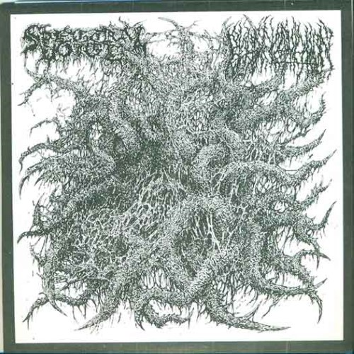 SPECTRAL VOICE - Spectral Voice / Blood Incantation cover 