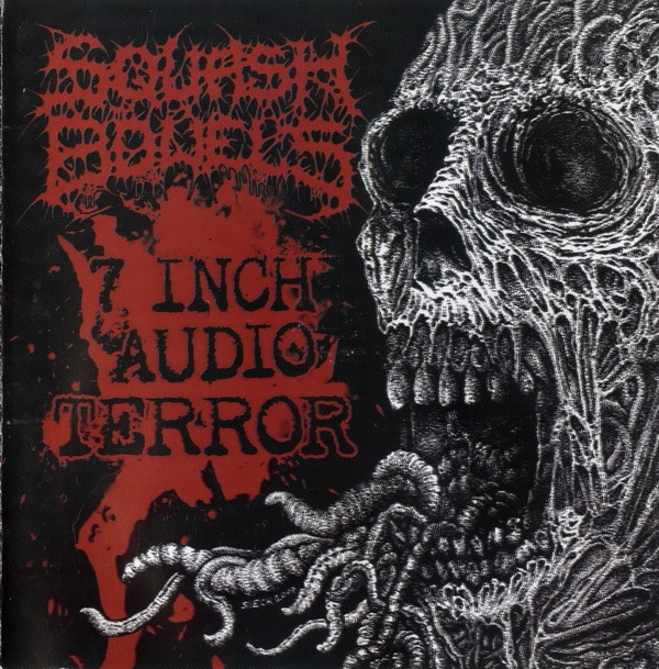 SQUASH BOWELS - 7 Inch Audio Terror cover 