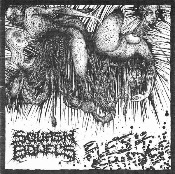 SQUASH BOWELS - Flesh Grinder / Harsh Extreme cover 