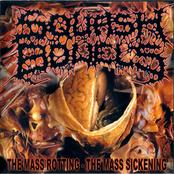 SQUASH BOWELS - The Mass Rotting - The Mass Sickening cover 