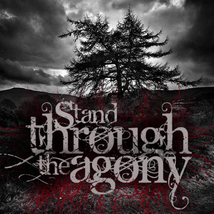 STAND THROUGH THE AGONY - Demo 2011 cover 
