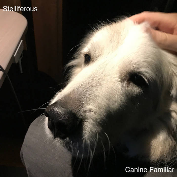STELLIFEROUS (MD) - Canine Familiar cover 