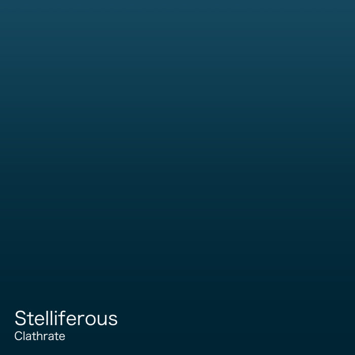STELLIFEROUS (MD) - Clathrate cover 