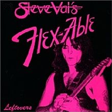 STEVE VAI - Flex-Able Leftovers cover 