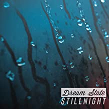 STILLNIGHT - Dream State cover 