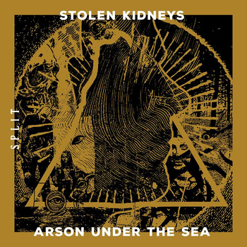 STOLEN KIDNEYS - Split cover 