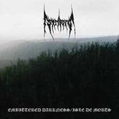 STRIBORG - Embittered Darkness / Isle de Morts cover 