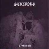 STRIBORG - Trepidation cover 