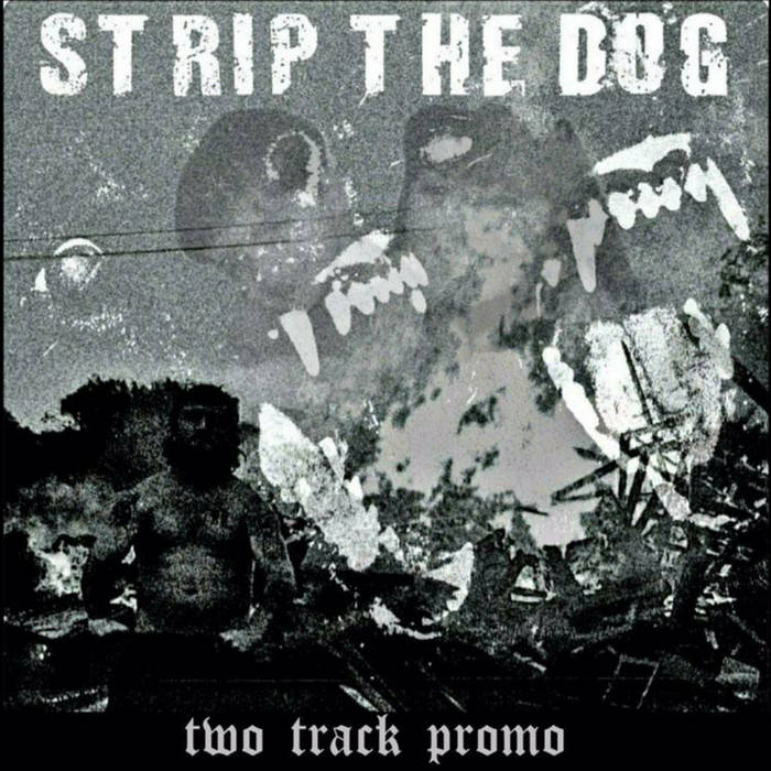 STRIP THE DOG - Two Track Promo cover 