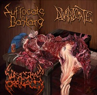 SUFFOCATE BASTARD - Mutilated and Split into Thirds cover 
