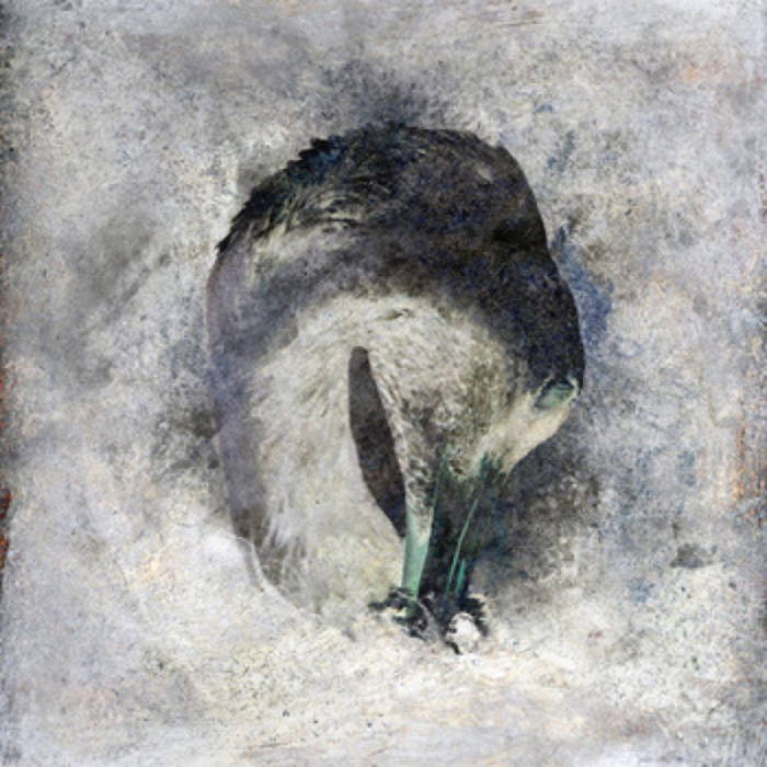 SUMA - Ashes cover 