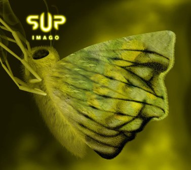 SUP - Imago cover 
