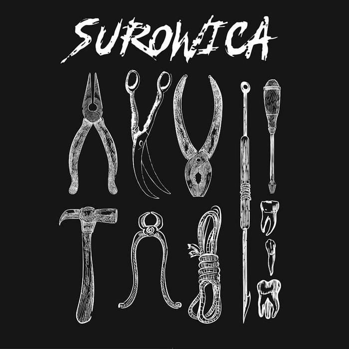 SUROWICA - Nie Wydarzy Się cover 