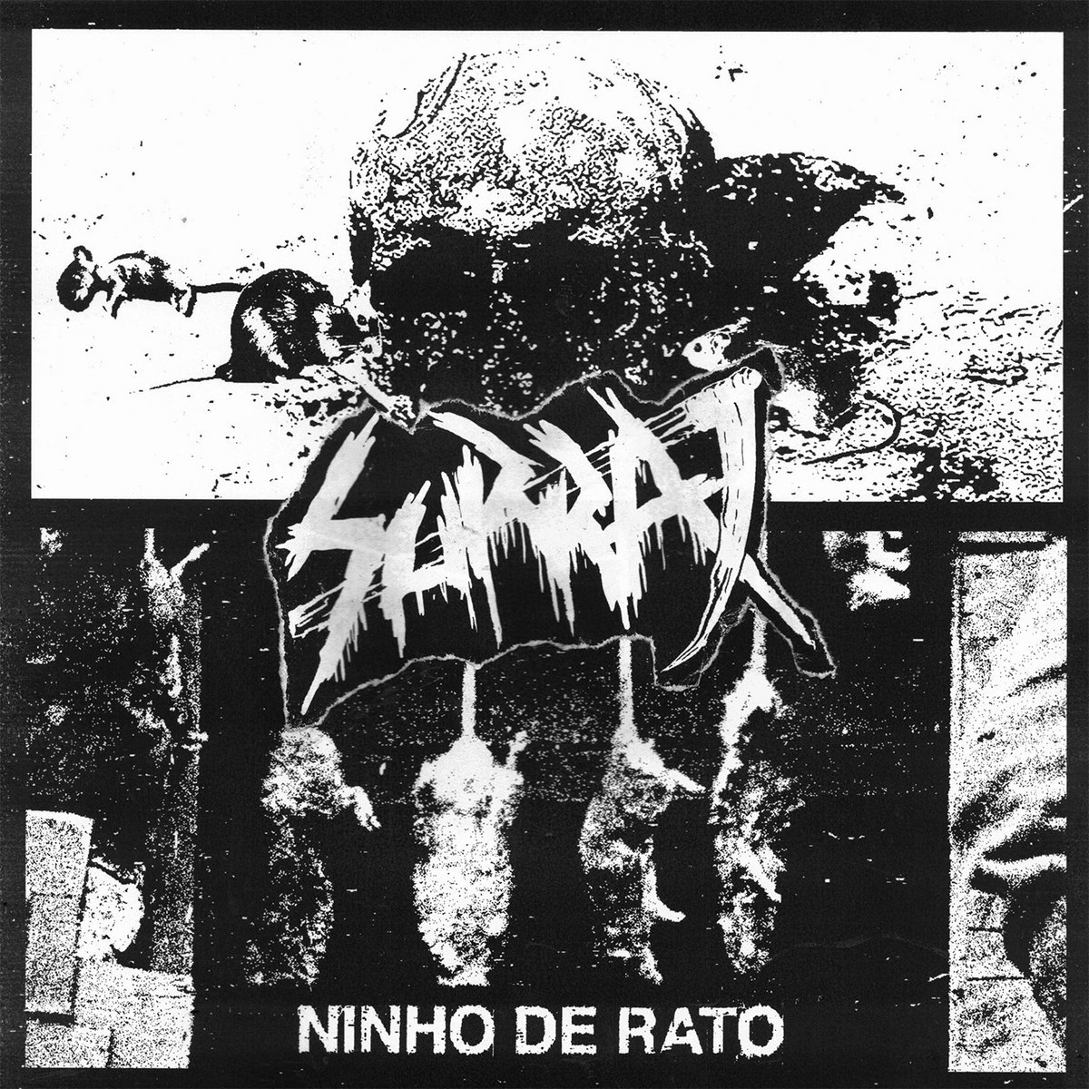 SURRA - Ninho de Rato cover 