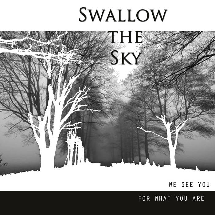 SWALLOW THE SKY - We See You For What You Are cover 