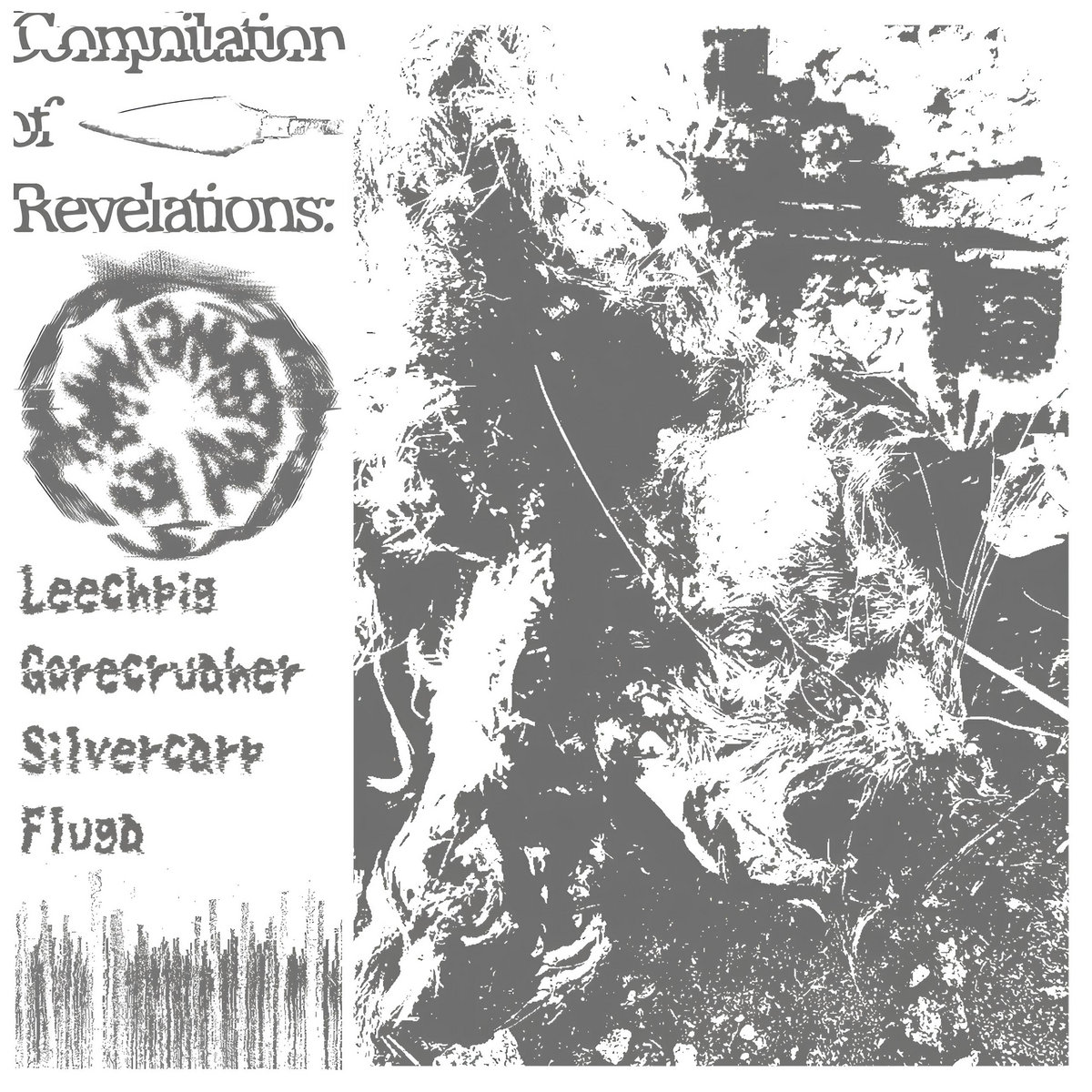 SWARMING EN ABYSSHIVE - Compilation Of Revelations cover 