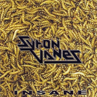 SYRON VANES - Insane cover 