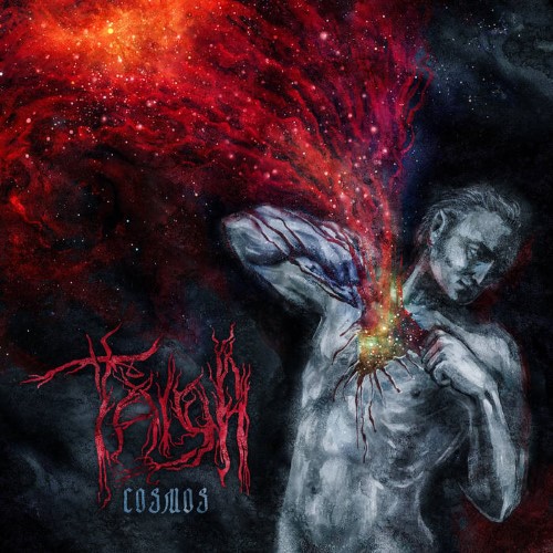 TAIGA - Cosmos cover 
