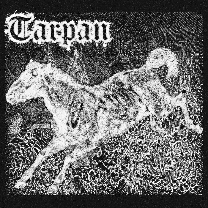TARPAN - Tarpan cover 