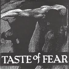 TASTE OF FEAR - Disrupt / Taste Of Fear cover 