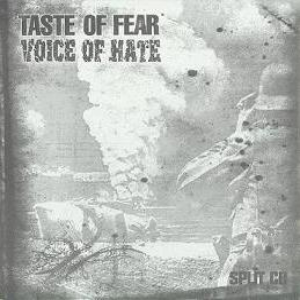 TASTE OF FEAR - Taste Of Fear / Voice Of Hate cover 