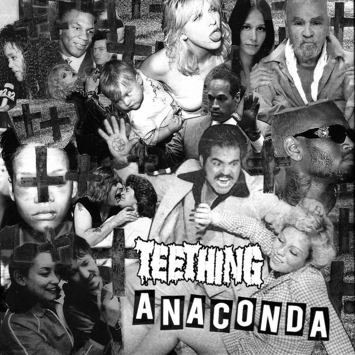 TEETHING - Anaconda cover 