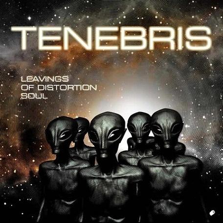 TENEBRIS - Leavings of Distortion Soul cover 