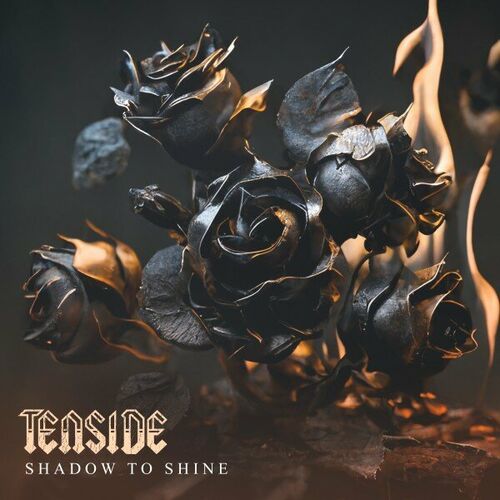 TENSIDE - Shadow To Shine cover 
