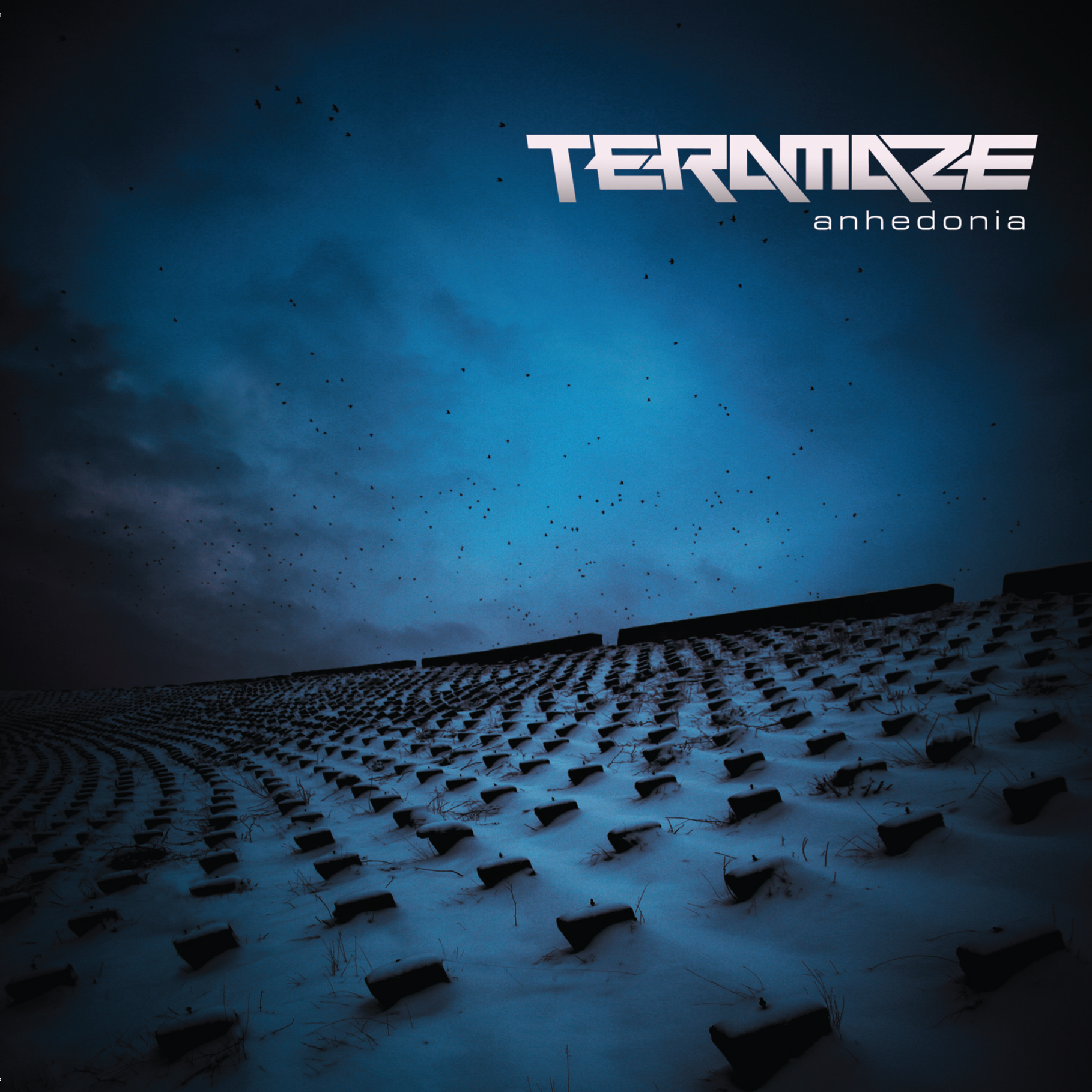 TERAMAZE - Anhedonia cover 