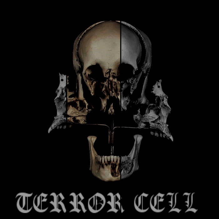 TERROR CELL - Modern Failures cover 