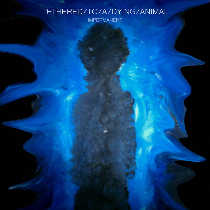 TETHERED TO A DYING ANIMAL - Impermanent cover 