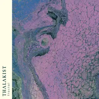 THALAKIST - Fractal cover 