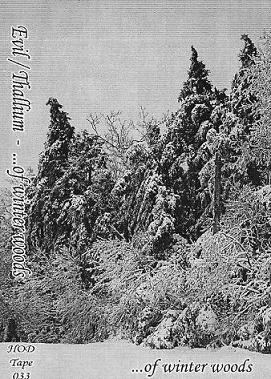 THALLIUM - ...of Winter Woods cover 