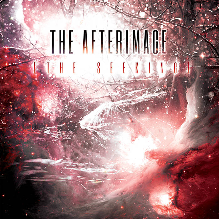 THE AFTERIMAGE - The Seeking cover 
