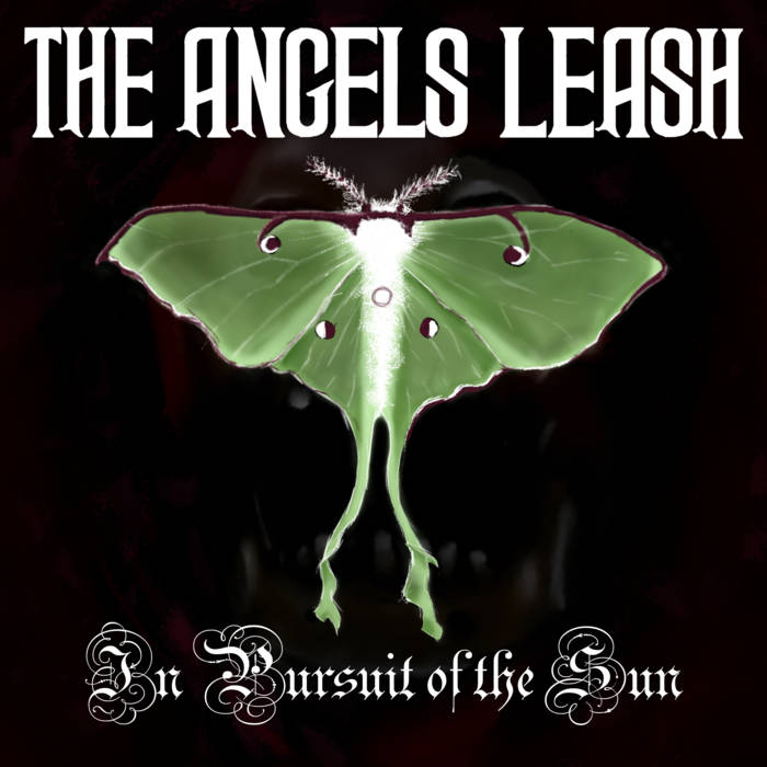 THE ANGELS LEASH - In Pursuit Of The Sun cover 
