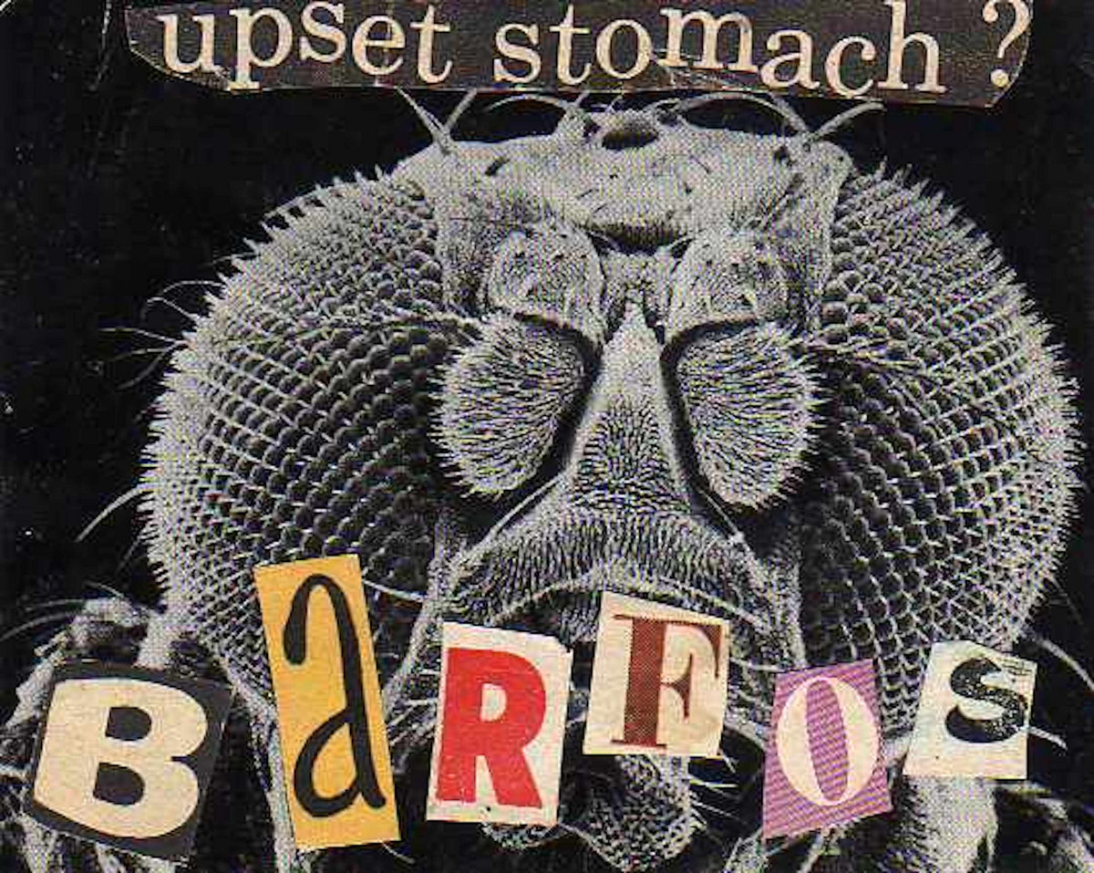 THE BARFOS - Upset Stomach cover 