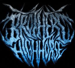 THE BROTHERS HIGHHORSE - Biomechanical Emancipation cover 