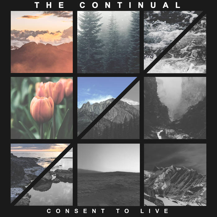 THE CONTINUAL - Consent To Live cover 
