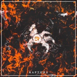 THE CONTRADICTION - Raptora cover 