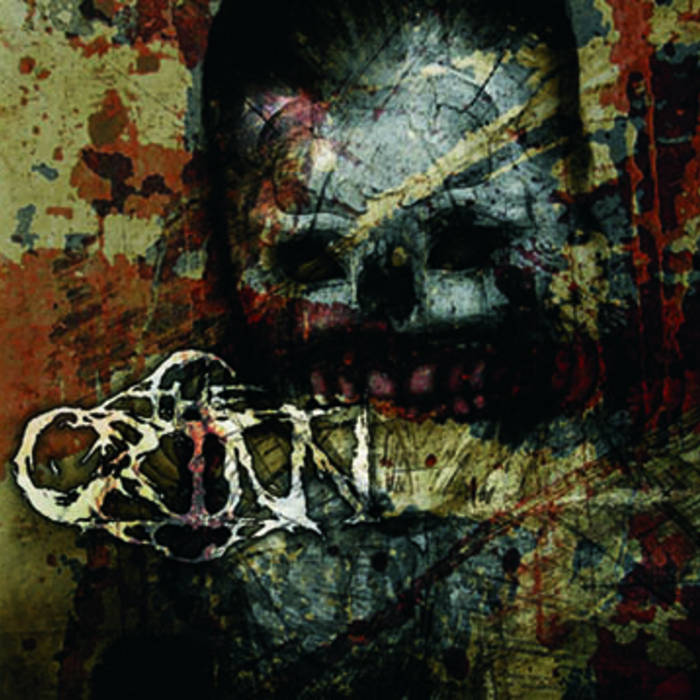 THE CRINN - The Crinn cover 