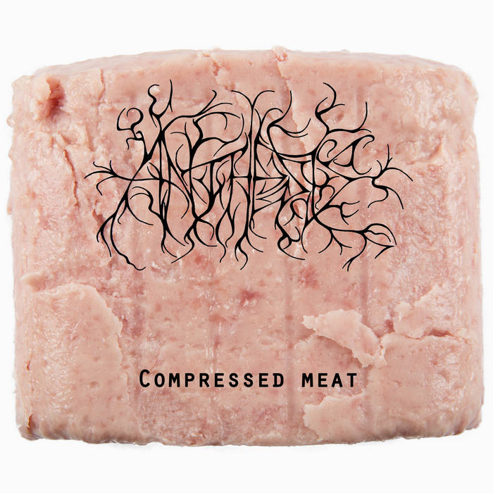 ANTHESIS - Compressed Meat cover 