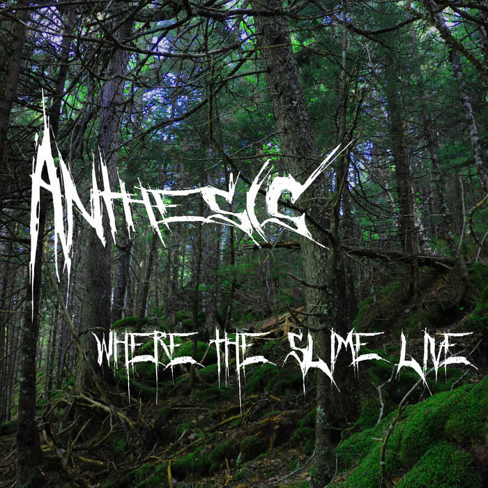 ANTHESIS - Where The Slime Live cover 