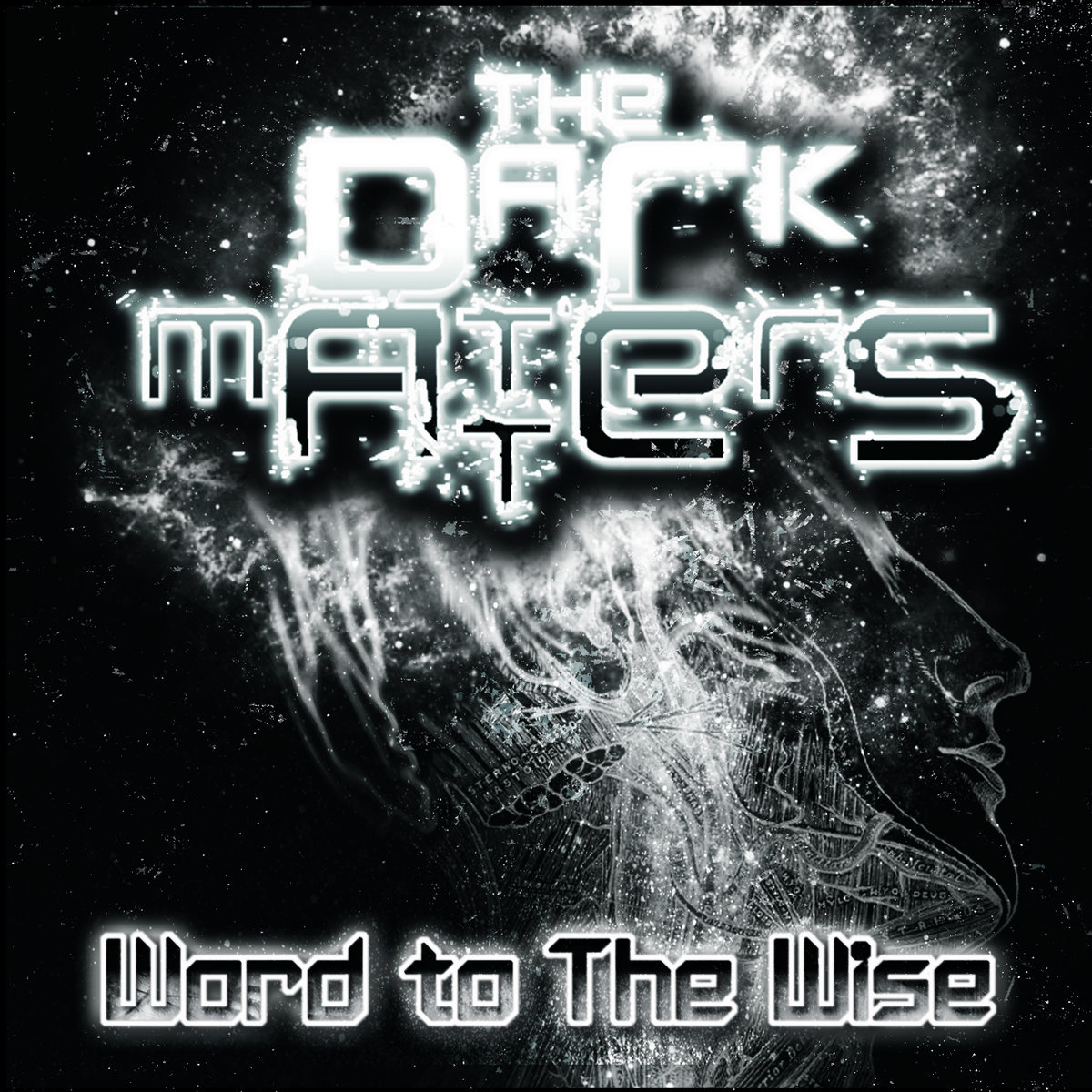 THE DARK MATTERS - Word To The Wise cover 