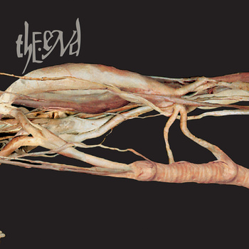 THE END - Transfer Trachea Reverberations from Point: False Omniscient cover 