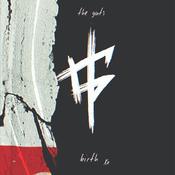 THE GUTS - Birth cover 