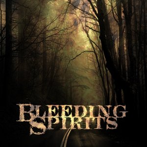 THE HEAVY MACHINE GUN - Bleeding spirits cover 