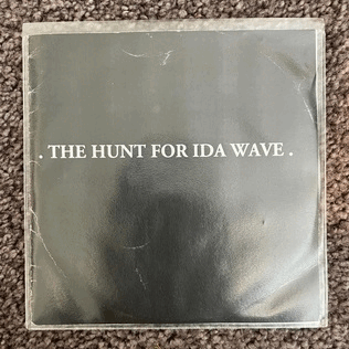 THE HUNT FOR IDA WAVE - The Hunt For Ida Wave cover 